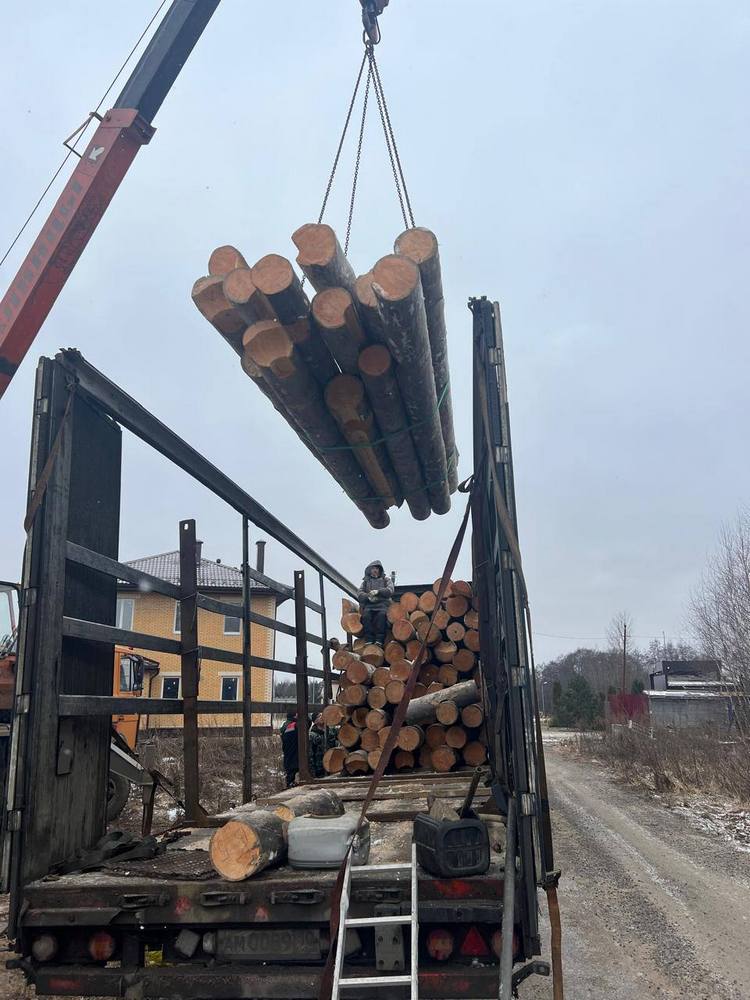 Строительство бани из сосны кело