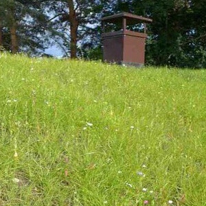 Экзотические кровли