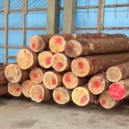 На прошлой неделе пополнили свои запасы долгожданным бревном!